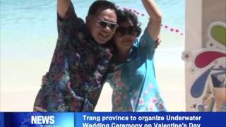 Trang province to organize Underwater Wedding Ceremony on Valentine's Day