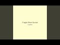 Fragile Silver Sunset