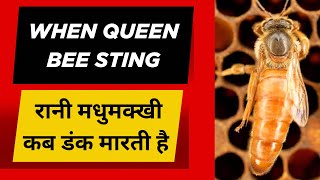 रानी मधुमक्खी की कार्यप्रणाली || Rani Madhumakkhi || Queen Bee || #queen #queenbee