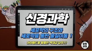 [신경과학] 세포막의 구조와 세포막을 통한 물질이동 1 ㅣ송창호 교수