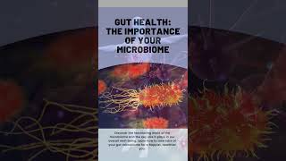 "Microbiota Mastery: A Comprehensive Guide to Nurturing Your Gut for Improved Health and Wellness"