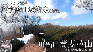 2023メイン登山　奥多摩山域縦走（前編）　川苔山・蕎麦粒山