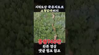 소액투자 지적도 국유지 도로 살리기 몽땅740만 나홀로 임야 농업인 임업인 자연인 투자 노후대비 주말농장 만들어서 되팔기 산림경영 임업용 산지 고산지대 청정지역 서민부자 쇼츠