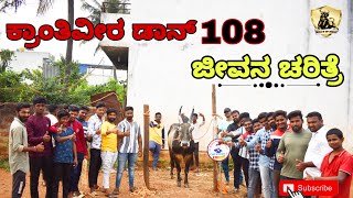 Krantiveera Don 108 ಜೀವನ ಚರಿತ್ರೆ | Sopinakeri Shikaripura Famous Bull | Dangerous Bull In Horihabba