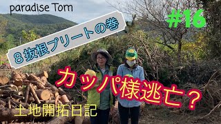 【土地開拓日記】#16 8抜根プリートの巻き　カッパ様逃亡？畑への道のり