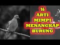 Tafsir mimpi Menangkap Burung | Mimpi melihat burung Dan Artinya