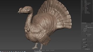 Mudbox Turkey Sculpt Tutorial