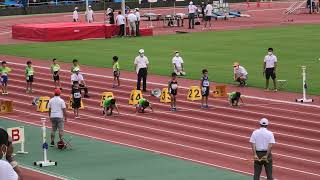 第２４回江東区ナイター陸上競技大会　小学生低学年男子５０ｍ　弘龍