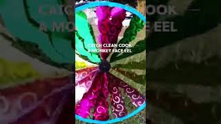 Catch Clean and Cook Monkey Face EEL #fishing #catchcleanandcook #ocean #eatfish #eel #fishingtip