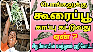 பொங்கலுக்கு கூரைப்பூ காப்பு கட்டுவது ஏன்|அதன் நன்மையும் மகத்துவமும் அறிவோமா|சிறுபீளையின் பயனறிவோம்