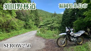 須田野林道　福岡県糸島市二丈　SEROW250　セロー250