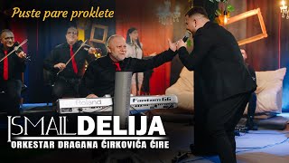 Ismail Delija \u0026 ork. Dragana Cirkovica Cire - Puste pare proklete (Cover 2023)