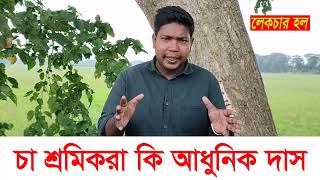 চা শ্রমিকরা কি আধুনিক দাস  lecture hall