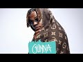 (FREE) Gunna Type Beat “back and forth“