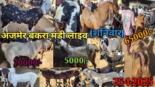 25-1-2025  (शनिवार)अजमेर बकरा मंडी लाइव update||Goats Market Ajmer Rajasthan || cover with price