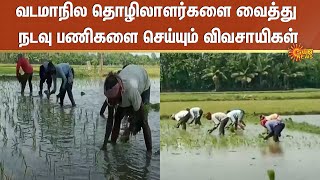 Mayiladuthurai | வடமாநில தொழிலாளர்களை வைத்து நடவு பணிகளை செய்யும் விவசாயிகள் | Sun News