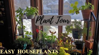 Indoor Plant Tour: 12 EASY Houseplants for Beginners | You Can’t Kill These! 😲🍃