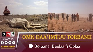 OMN Daa'imtuu Torbanii: Boraana, Beelaa  fi Oolaa (Jan 21,2023)