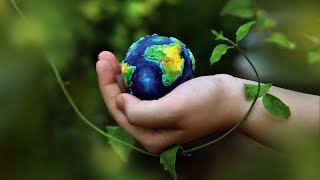 What are the most pressing environmental issues facing Chicago?