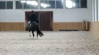 Epona Equestrian Сenter