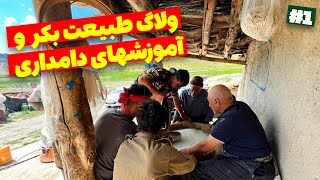 گشت و گذار آفرودی و کارگاه دامداری در دل کوهستان : تهیه کره و کشک محلی با کمترین امکانات 🏕️🐑