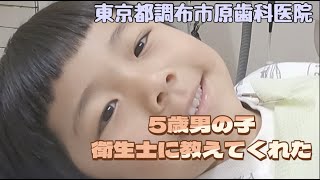 ５歳男の子衛生士に教えてくれた｜予防歯科　原歯科医院【調布市・八雲台・布田駅】