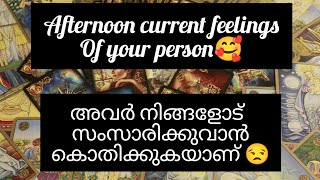 അവർ നിങ്ങളോട് സംസാരിക്കാൻ കൊതിക്കുകയാണ്.😒afternoon current feelings of your person❤️‍🩹