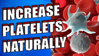 How To Increase Platelet Count in Blood Naturally | Beneficial Foods | Foods To Avoid