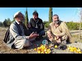 ننګرهار د بټي کوټ مالټې د افغانستان حاصلات او ښایستونه the oranges of batikot nangarhar