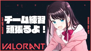 【#VGP】VALORANT GIRLS PARTY 視聴者参加型カスタムDay2【花芽なずな視点】