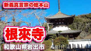 根來寺/和歌山県岩出市【初詣】正月で賑わう新義真言宗の総本山に参拝【旅行VLOG/4K】一乗山大伝法院,新義真言宗総本山,大日如来,興教大師覚鑁,国宝大塔,身代わり不動尊,三国一のきりもみ不動