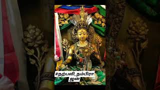 ஓம் தாரே து தாரே துரே சுவாகா தாரா தேவி திருவடிகள் சரணம் போற்றி ஓம் தாரா தேவி துணை வணங்குங்கள் வெற்றி