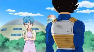 Vegeta doesn't care if Bulma is Cheating on him (calls her BABE)