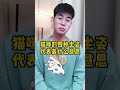 猫咪的四种坐姿代表什么