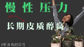 慢性压力导致的长期皮质醇高｜stress and cortisol