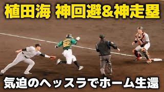 【神の手\u0026神走塁】とんでもない動きで相手を翻弄して三塁セーフに！糸原のライナー打球にも好判断でホーム間一髪生還！2024.4.16