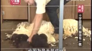 愛玩客 20130624 part4 自由發揮在澳洲墨爾本