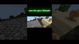 В Майнкрафт добавили новых куриц. #Minecraft  #shorts #обнова