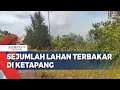 Musim Kemarau, Sejumlah Lahan Mulai Terbakar di Ketapang