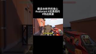 最适合新手的准心 #valorant #无畏契约 #特战英豪