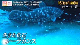 『世界遺産』10/16(日) イシマンガリソ自然公園 〜 200kmの大砂丘！インド洋の海岸【TBS】