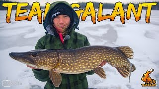 PIKE FISHING DURING HEAVY SNOW STORM | Team Galant (English Subtitles)