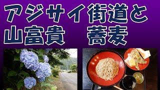 越生のアジサイ街道と日本料理　山富貴の蕎麦