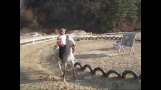 Korean horseback archery, Practice - 실전기마궁술