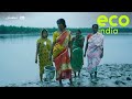 Eco India: West Bengal's 'Tiger Widows' unite to protect the endangered Sundari mangrove tree