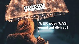 FISCHE ♓️ Befreiungsschlag❣️✨Tarot•Orakel💫