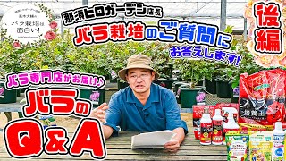 🌹バラ栽培を楽しもう♪【バラのQ\u0026A】様々なバラ栽培についてのご質問にお答えします!高木大輔さん