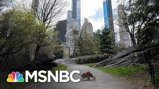 NBC News/WSJ Poll: Nearly 60% Of Americans Support Keeping Stay-At-Home Restrictions | MSNBC