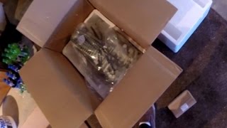 Piranha 140cc Unboxing (YX 140)