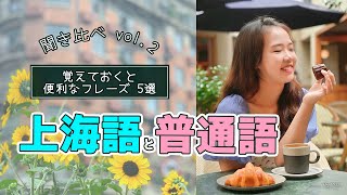 【覚えておくと便利なフレーズ5選】上海語と標準語 聞き比べ vol2 編｜vlog 055 上海語 ウェンちゃん 上海